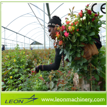 Leon series low cost plastic flim greenhouse for vegetable and flower
